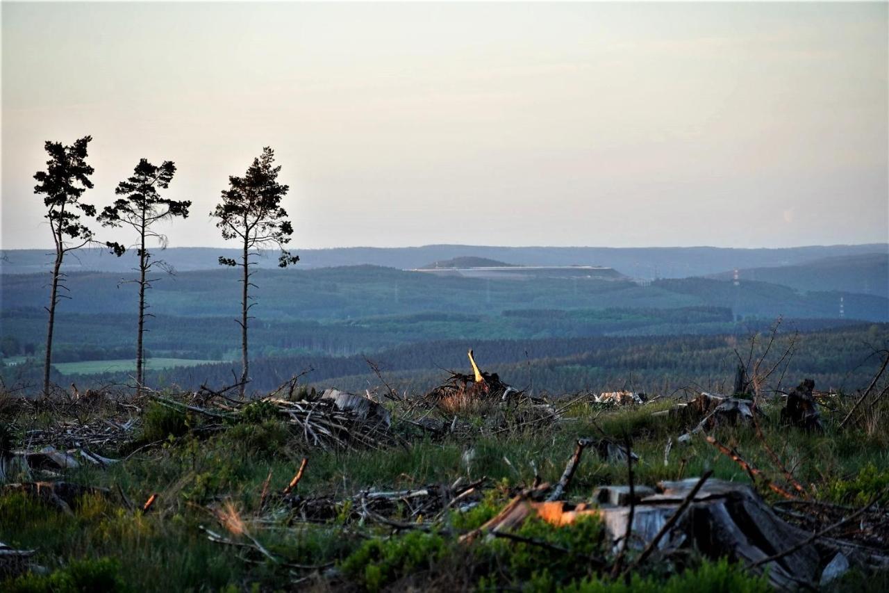 "Petite Perle En Haute Ardenne" Avec Vue Sur La Vallee, Cabine Infra-Rouge Et Bain Balneo Lierneux Exterior foto